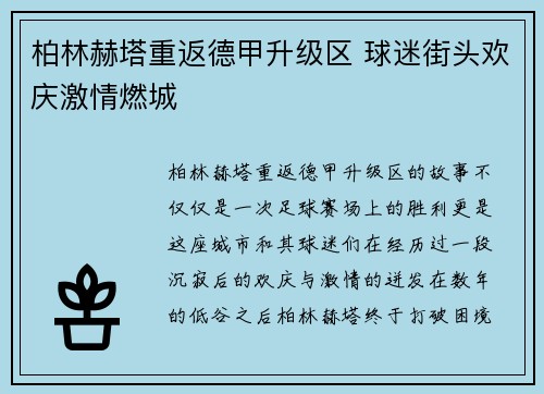 柏林赫塔重返德甲升级区 球迷街头欢庆激情燃城